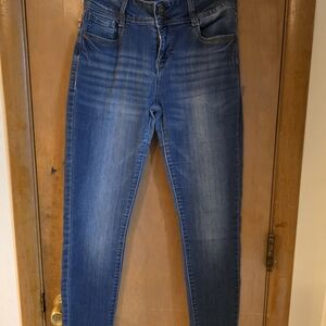 Wallflower Women's Blue Skinny Jeans